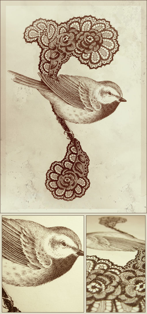 Songbirds by Teagan White
