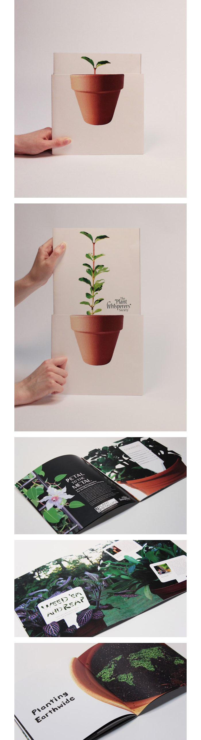 Jenna Russell / Annual Report concept - The Plant Whisperers Society