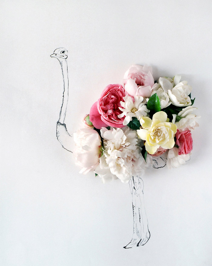 Kari Herer / Illustration & floral arrangement