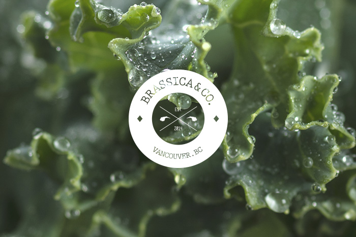 Gastown Design Inspiration - Brassica - Design Work Life