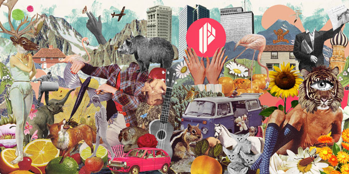 Ciara Phelan: Collages / on Design Work Life