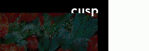 Cusp Conference