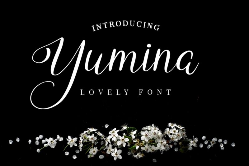 Yumina - Script Font