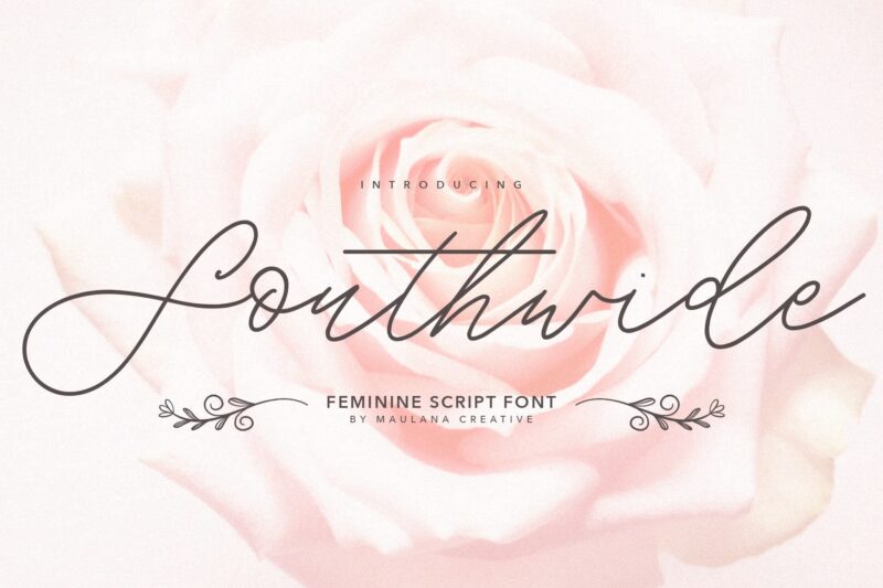 Southwide Feminine Script Font (Paid)