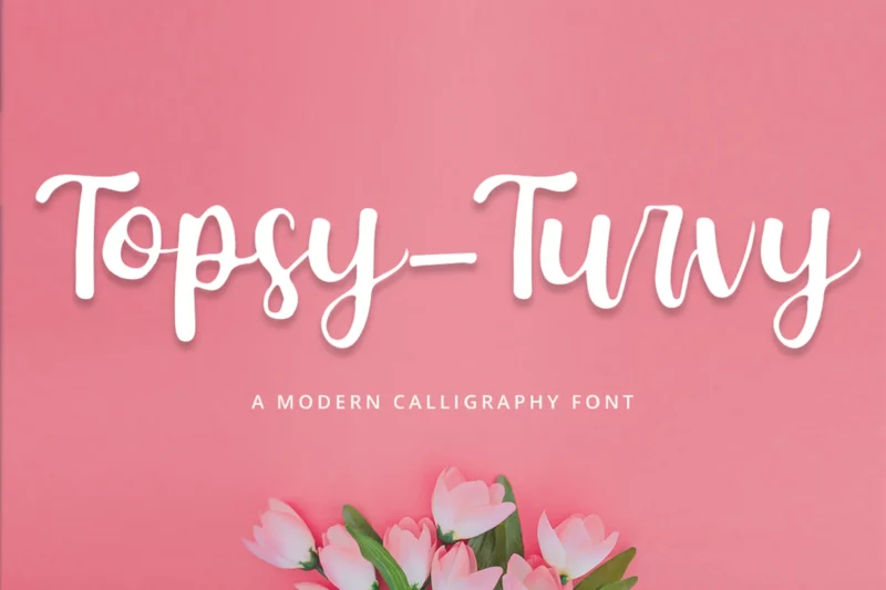 Feminine Curvy Script Font (Paid)