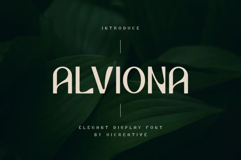 Alviona Modern Serif Font (Paid)