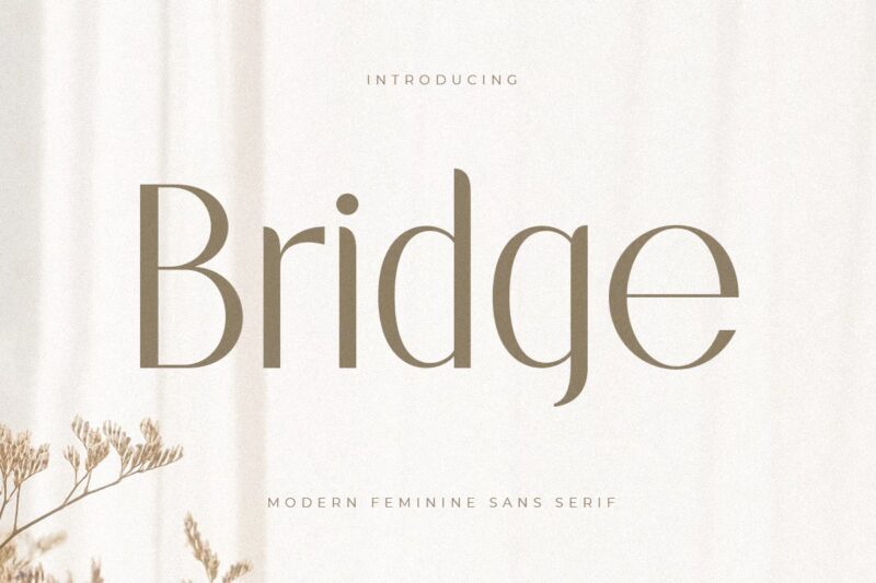 Bridge Font (Paid)