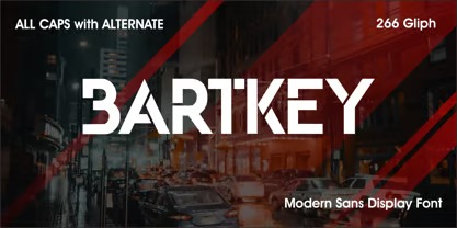 Bartkey