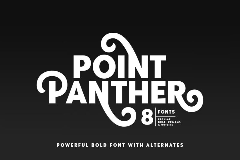 Point Panther