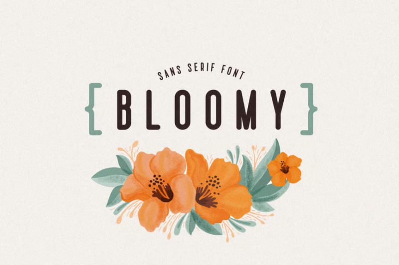 Bloomy Sans Serif Font