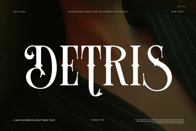 Detris Tattoo Serif Font