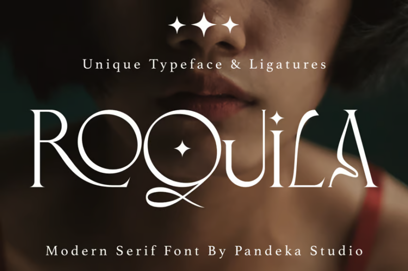 Aiguilette Luxury Serif Font