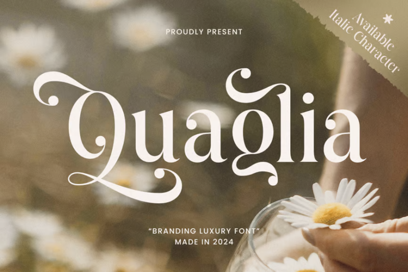 Qarlient - Luxury Display Font