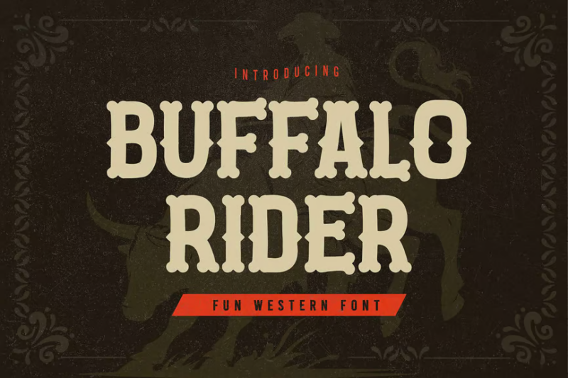 Buffalo Rider