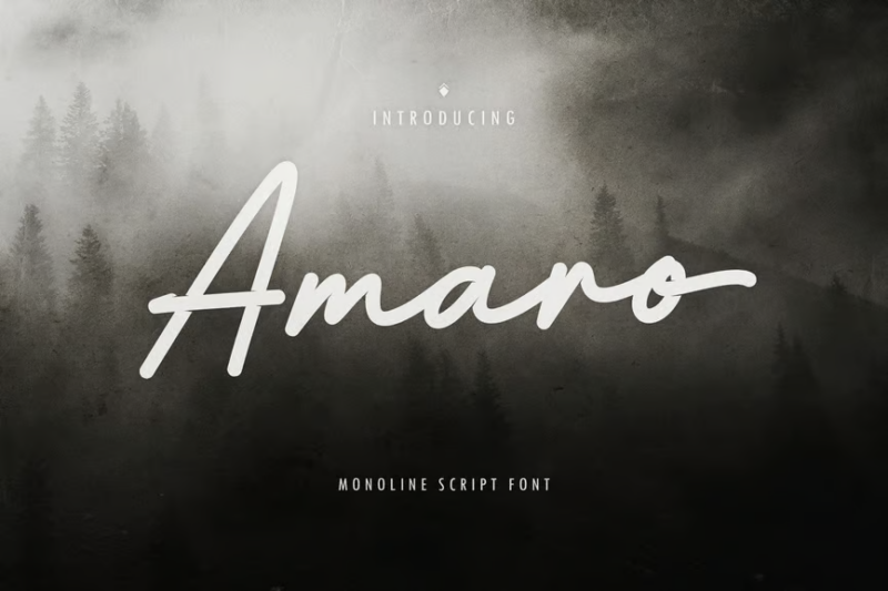 Amaro - Monoline Script Font