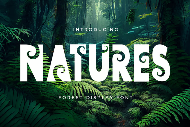 Natures - Decorative Display Font
