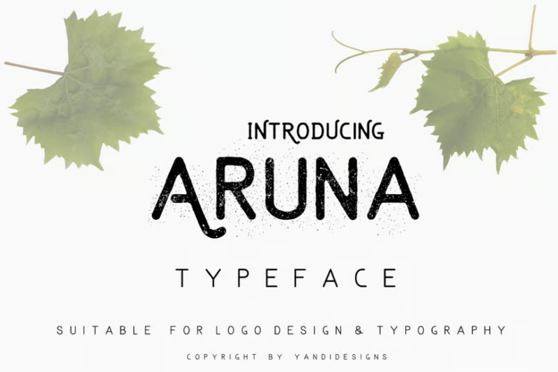 Aruna Fonts
