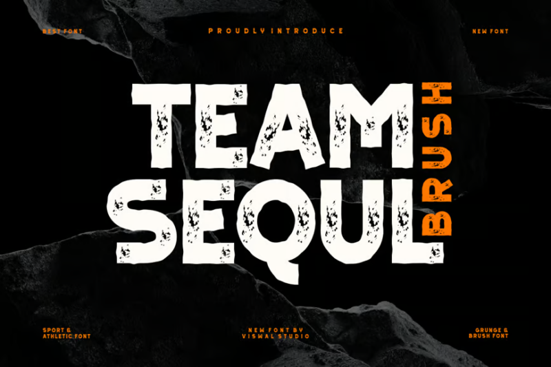Team Sequl Brush - Grunge & Sport
