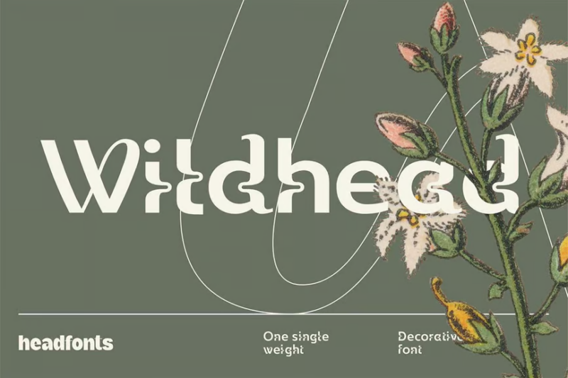 Wildhead Display Font