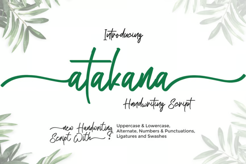 Atakana Handwriting Script Font