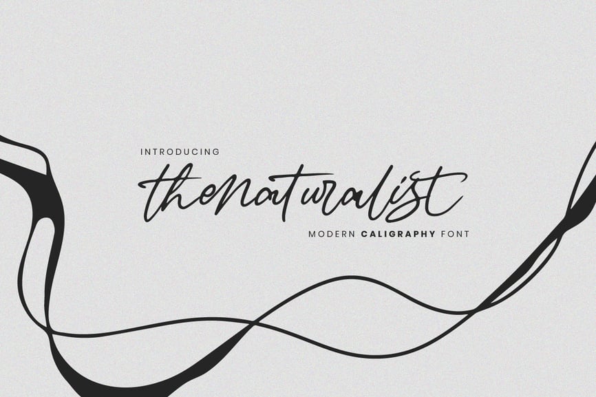 Thenaturalist Caligraphy Wedding Font