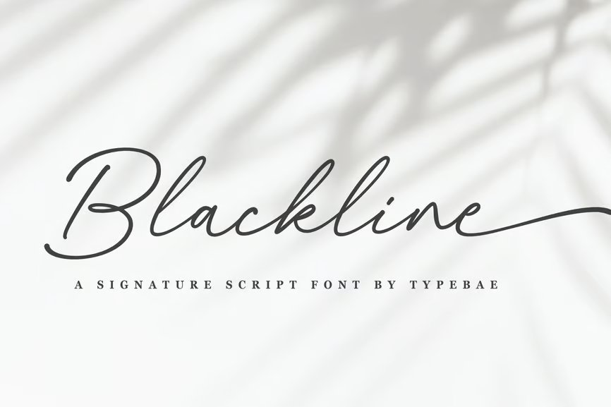 Backline - Chic Signature Script Font