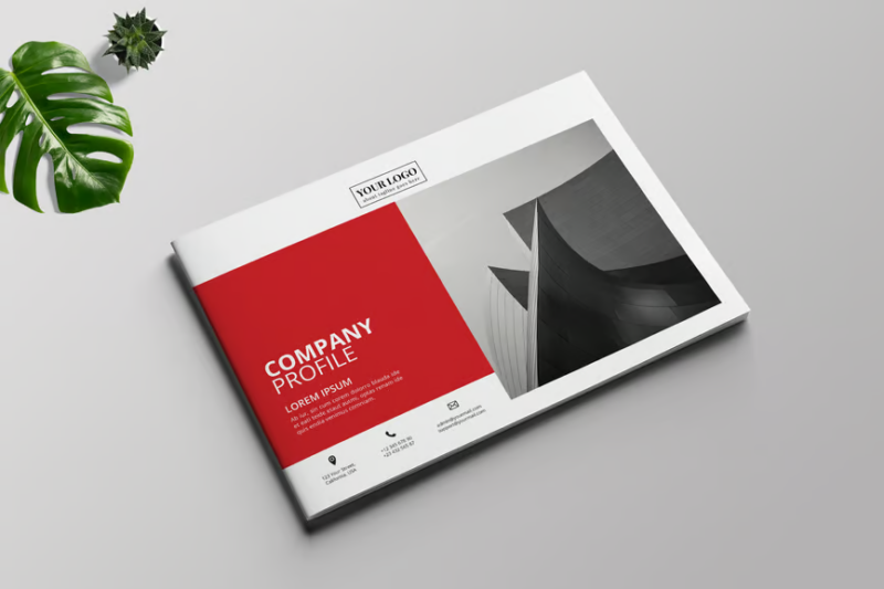 Company Profile, Print Templates ft. company & brochure - Envato