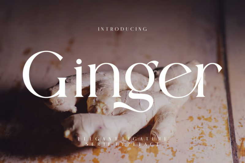 Ginger Elegant Ligature Serif Typeface