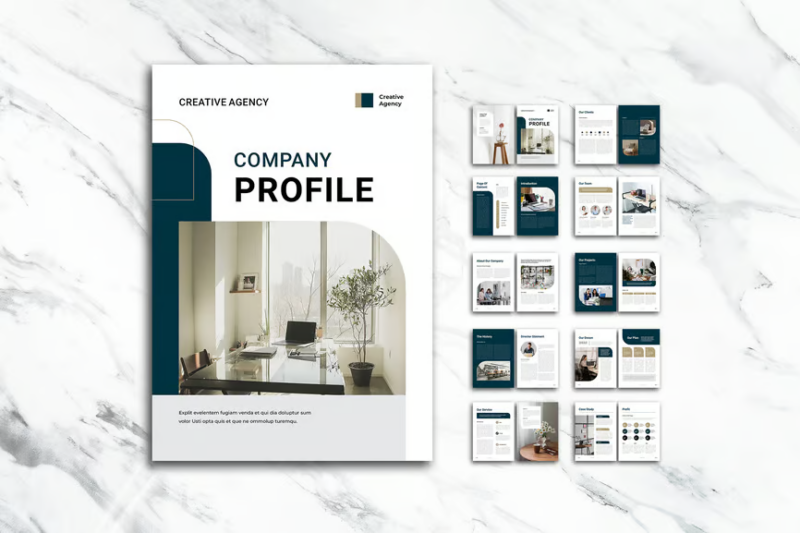 Company Profile, Print Templates ft. report & company - Envato