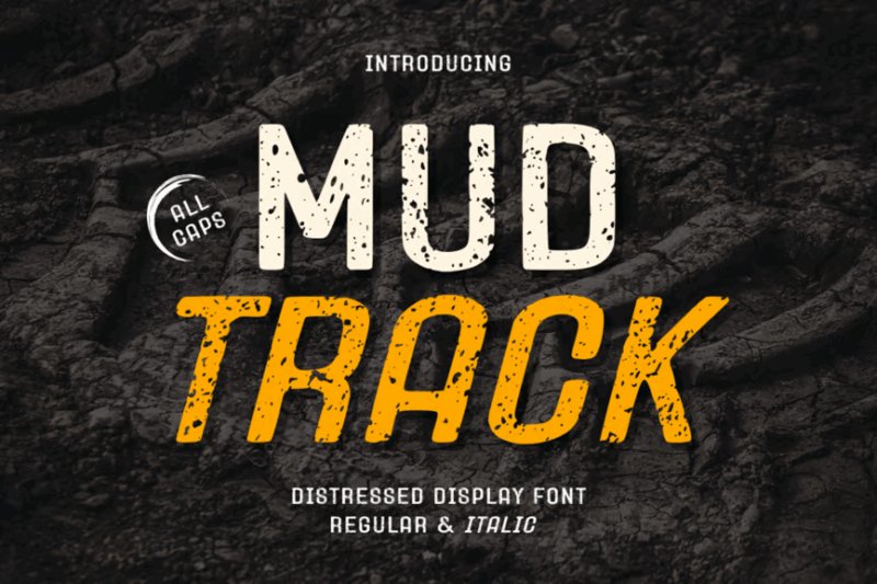 Mud Track