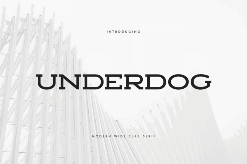 UNDERDOG - Modern Wide Slab Serif