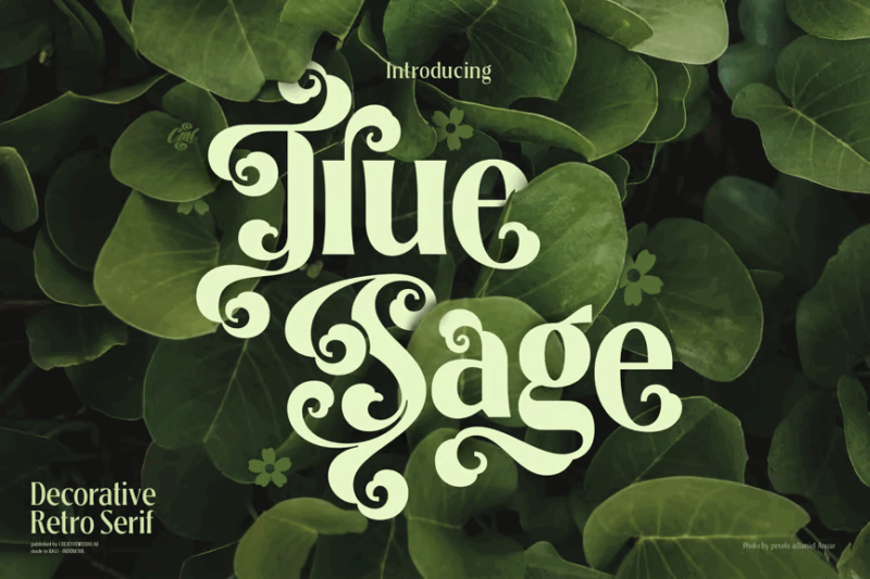 Carllosta - Layered Font (+EXTRAS)