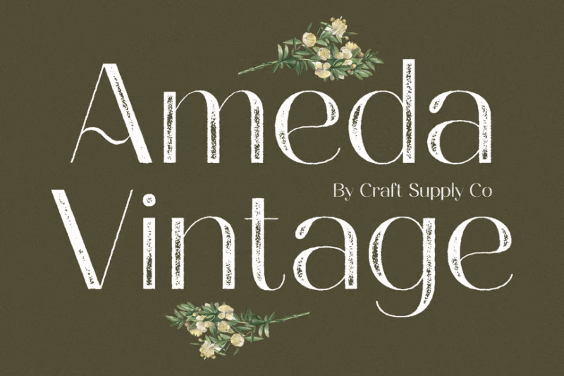 Ameda Vintage