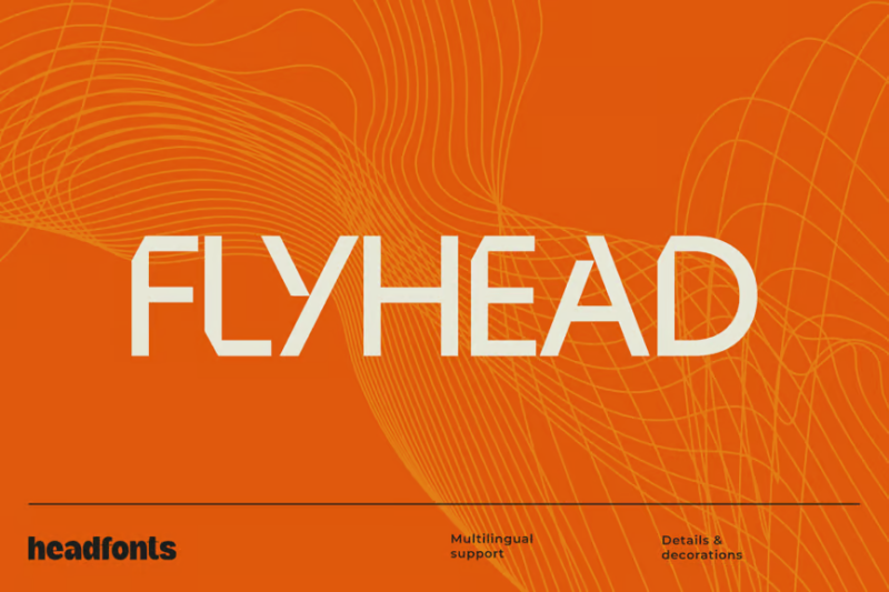 Flyhead