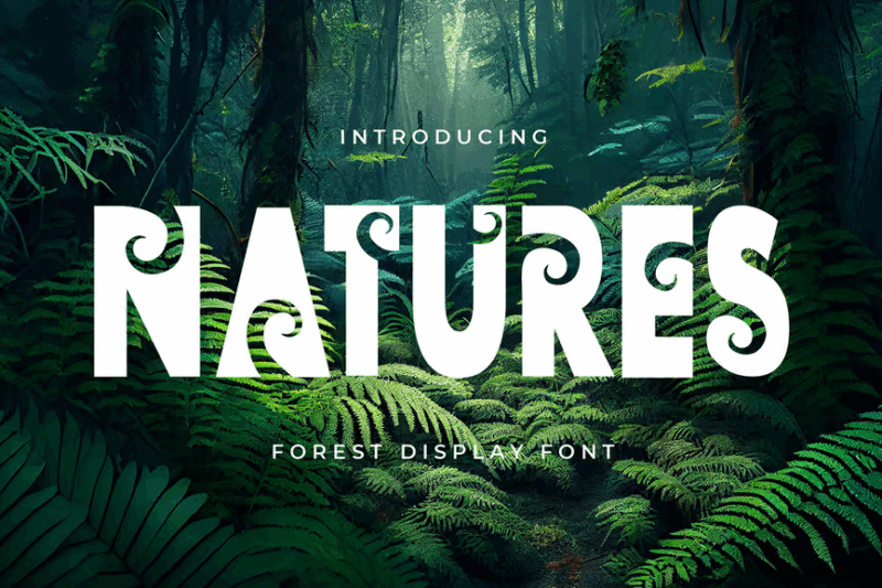 Natures - Decorative Display Font