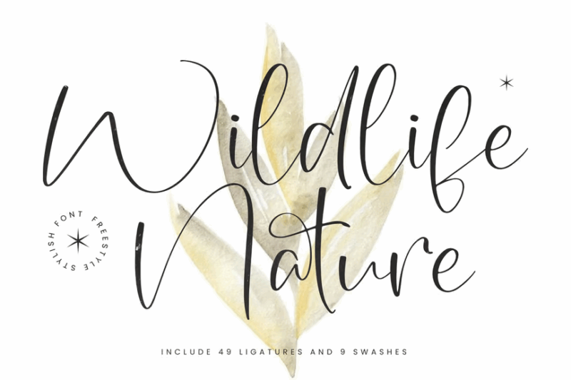 Wildlife Nature Freestyle Stylish Font
