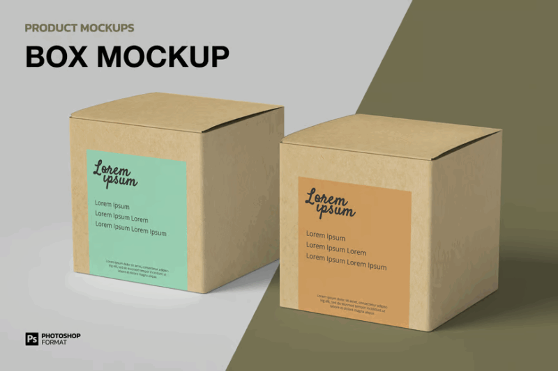 Cardboard Showcase Set