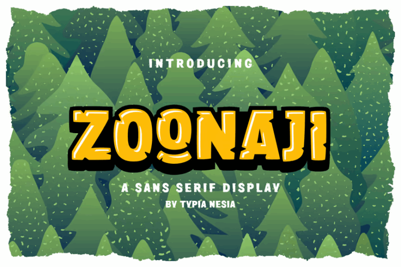 Zoonaji Sans Display