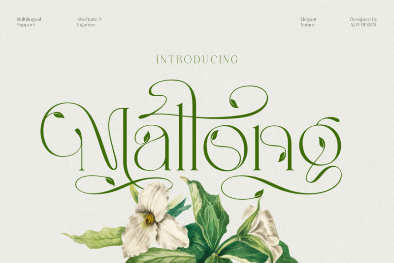 Mallong Typeface