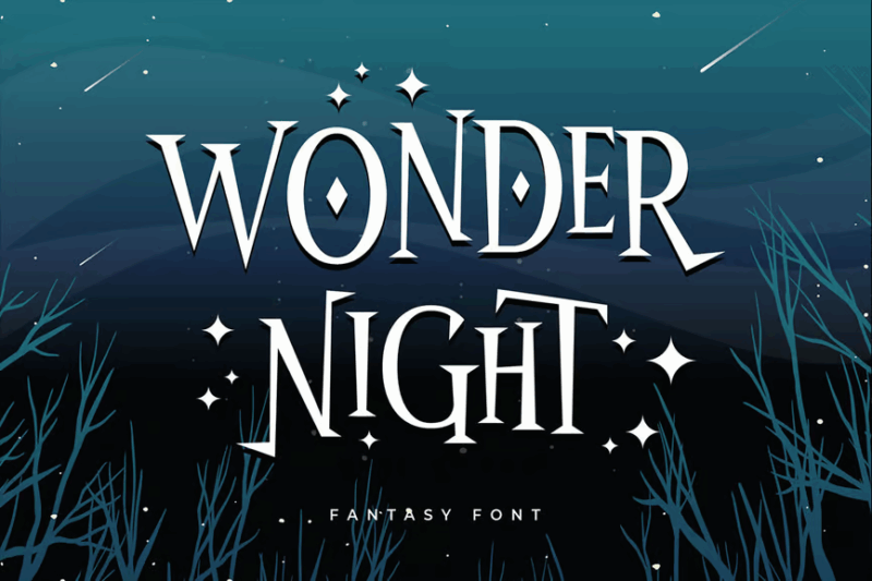 Wonder Night