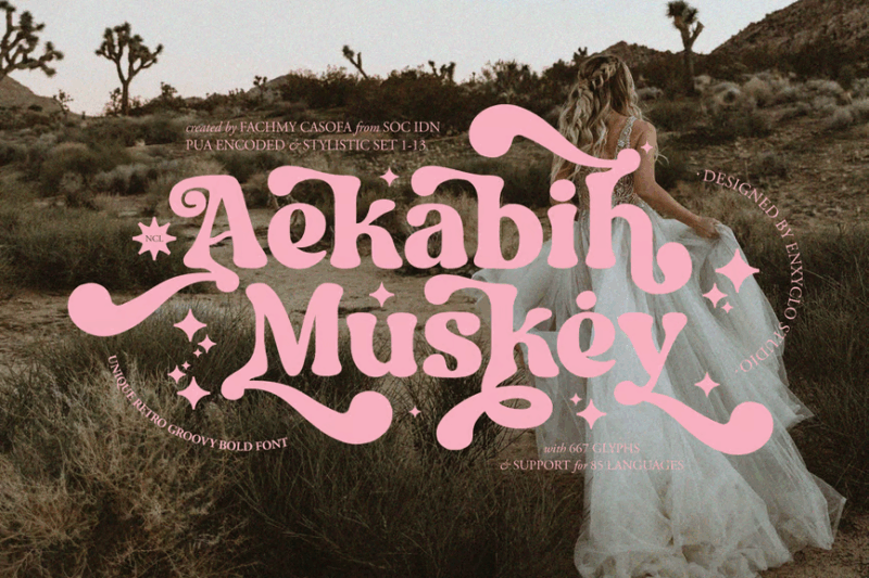 NCL Aekabih Muskey - Retro Groovy Bold Font