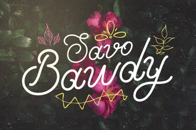 Savo Bawdy