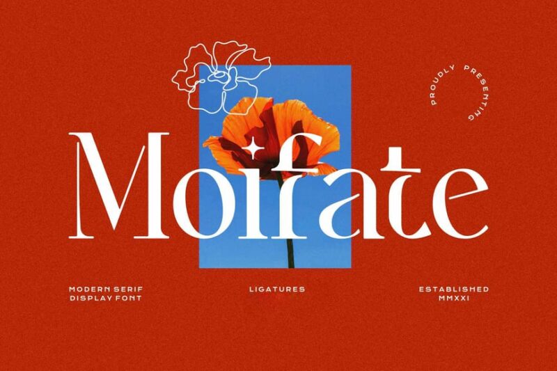 Moifate