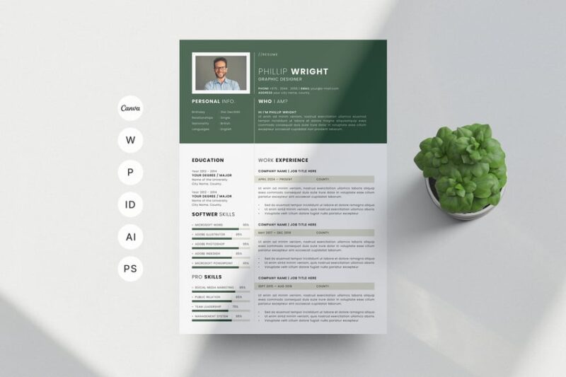 DesignMark Resume