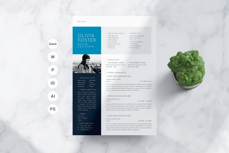 Streamline Resume