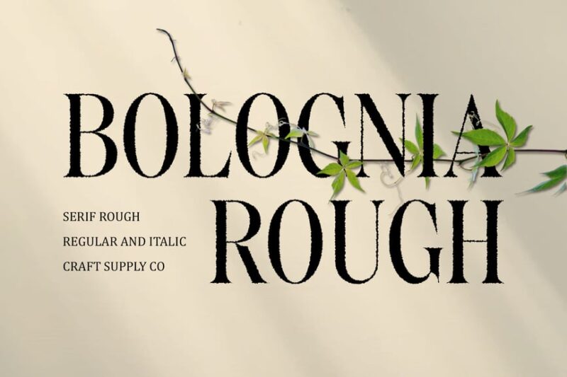 Bolognia Rough