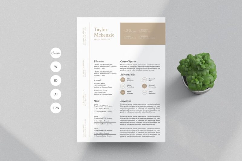 VisionCraft Resume