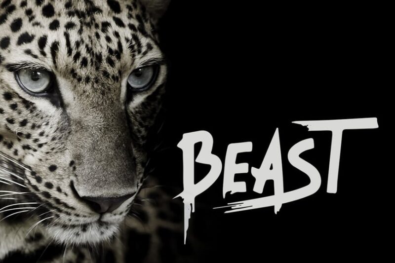 Beast - Brush Font