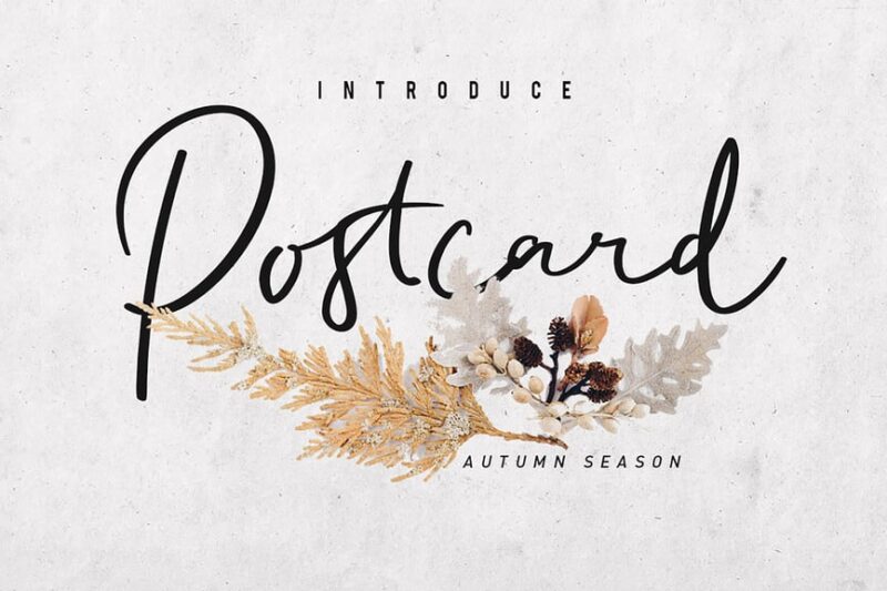 Postcard Script