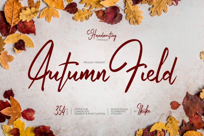 Autumn Field